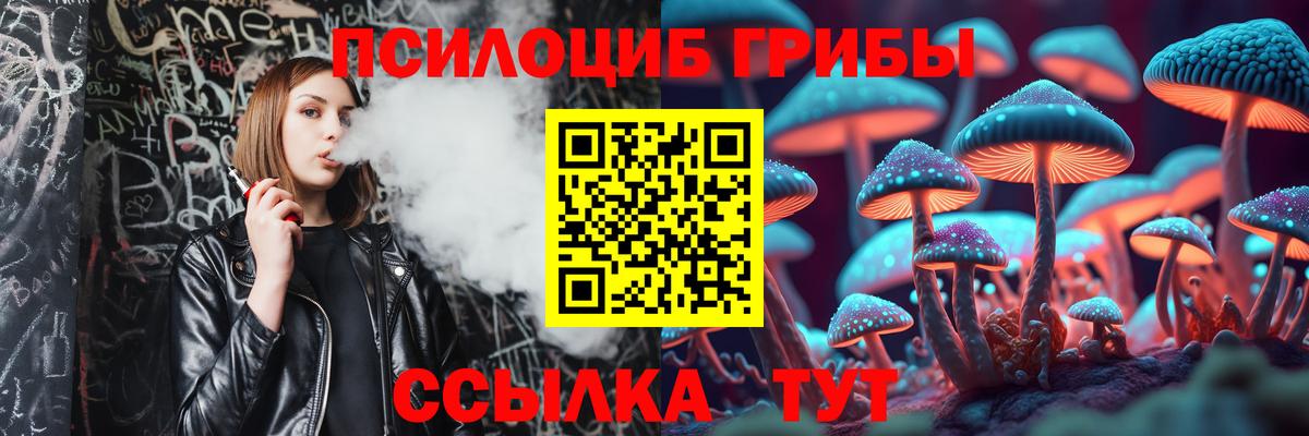 закладка  Псилоцибиновые грибы GOLDEN TEACHER  Менделеевск  Вход с VPN  Галлюциногенные грибы GOLDEN TEACHER 